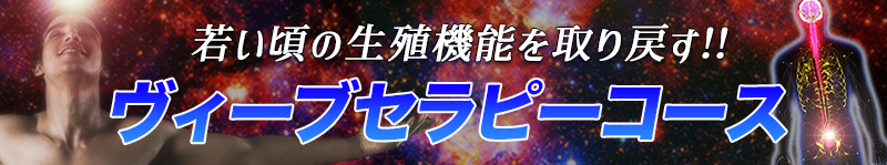 ヴィーブセラピーコース